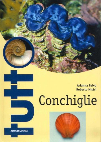 Conchiglie