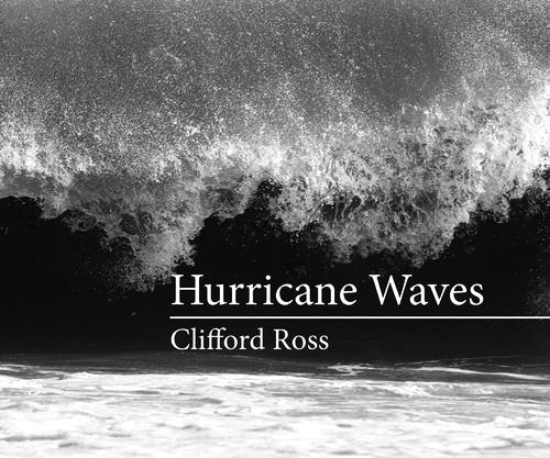 Hurricane waves