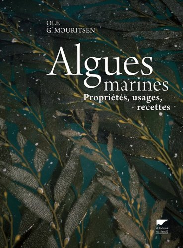 Algues marines