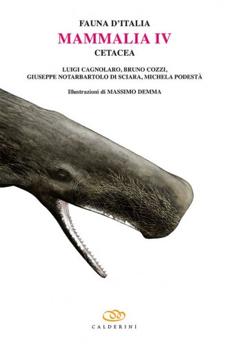 Mammalia IV Cetacea