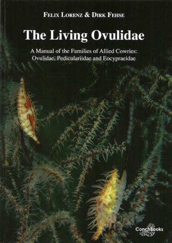 Living Ovulidae