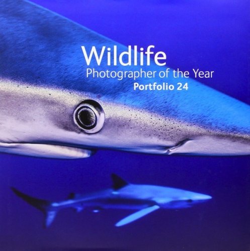 Wildlife photographer of the year - portfolio 24