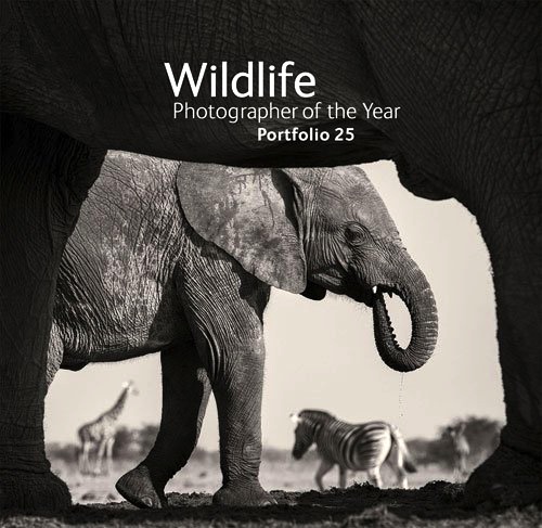 Wildlife photographer of the year - portfolio 25