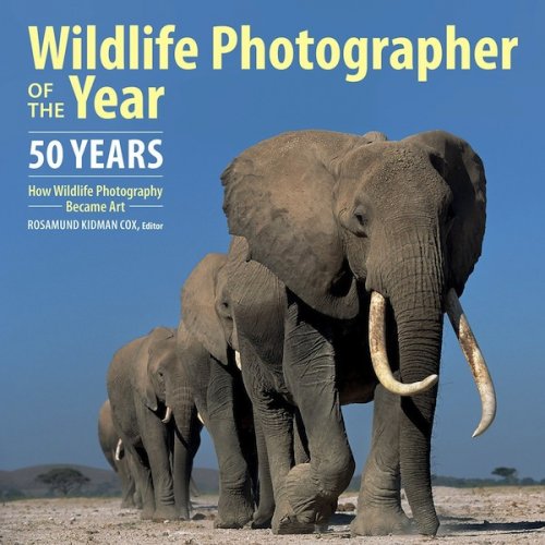 Wildlife photographer of the year: 50 years