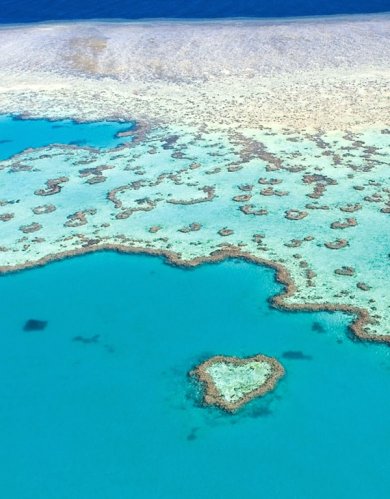 Blank book blue planet