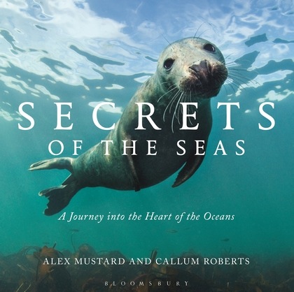 Secrets of the seas