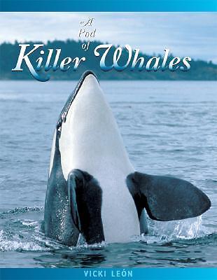 Pod of Killer whales