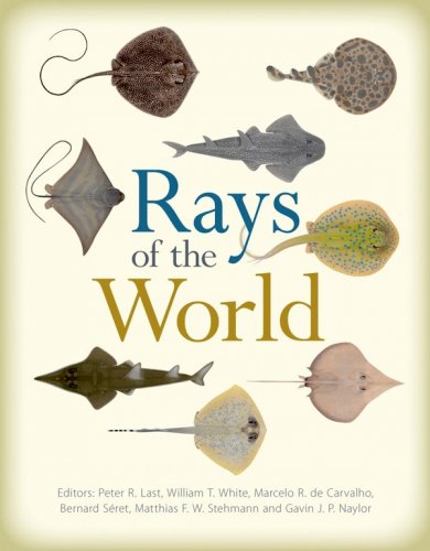 Rays of the world