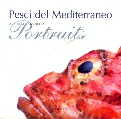 Pesci del Mediterraneo portraits