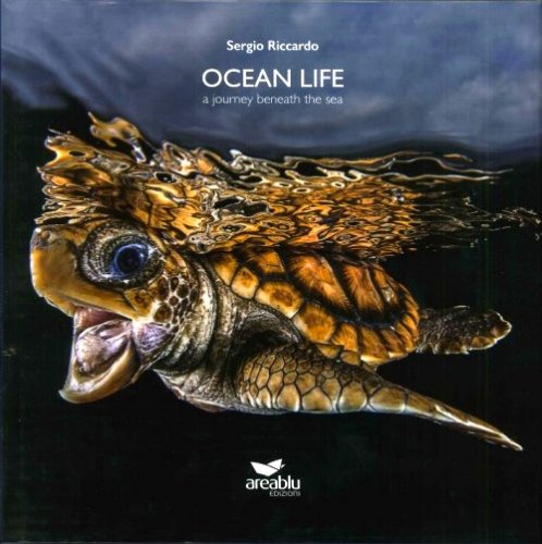Ocean life