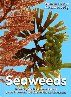 Seaweeds