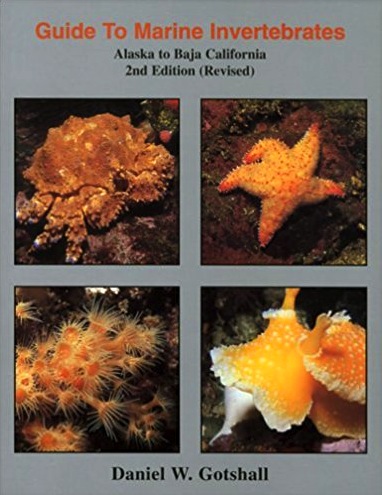 Guide to marine invertebrates