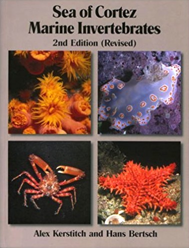 Sea of Cortez marine invertebrates