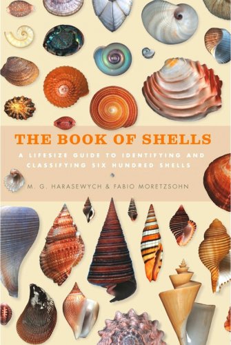 Book of shells