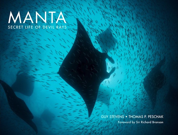 Manta