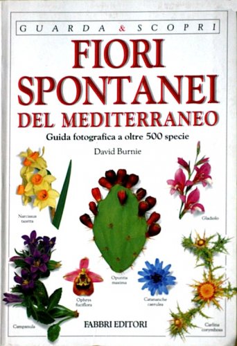 Fiori spontanei del Mediterraneo