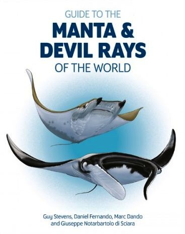 Guide to manta & devil rays of the world