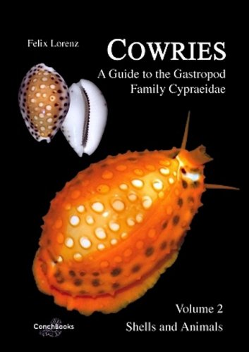 Cowries: a guide to the Gastropod Family Cypraeidae vol.2
