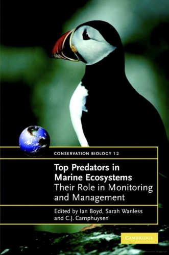 Top predators in marine ecosystems