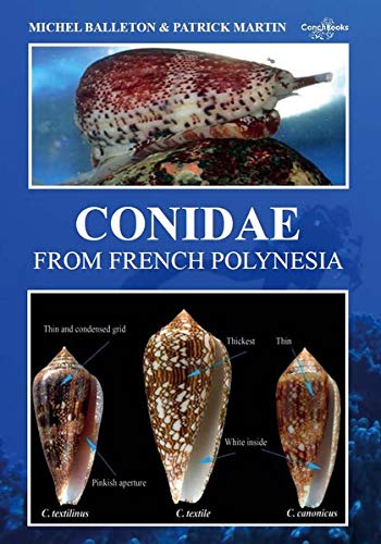 Conidae from French Polynesia