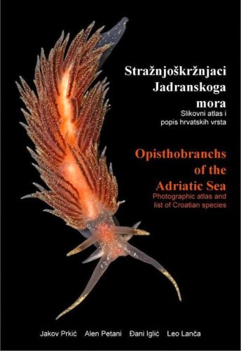 Opisthobranchs of the Adriatic Sea