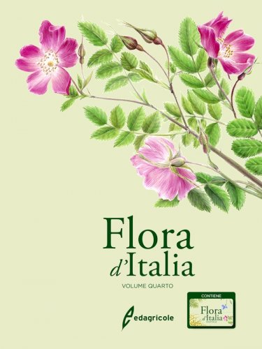 Flora d'Italia vol.4