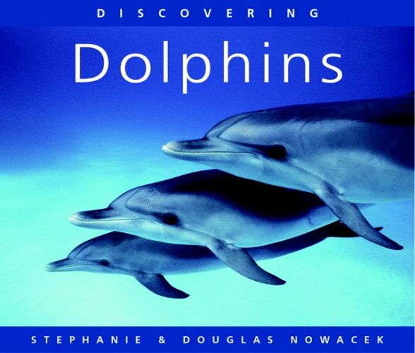 Discovering dolphins