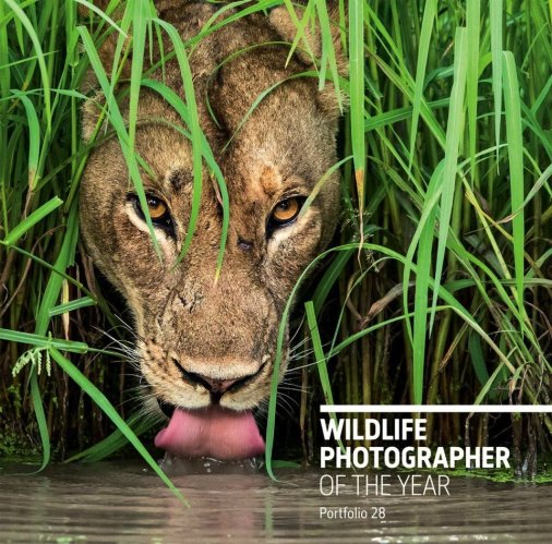 Wildlife photographer of the year - portfolio 28
