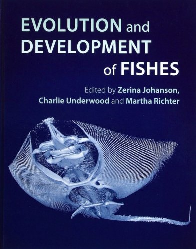 Evolution and development of fishes