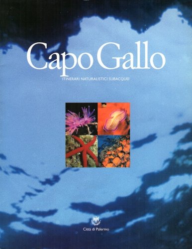 Capo Gallo