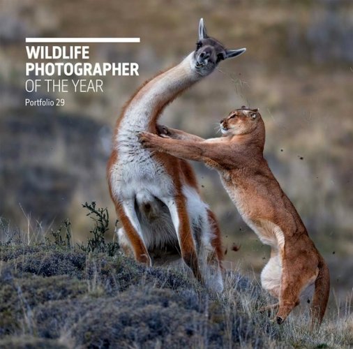 Wildlife photographer of the year - portfolio 29