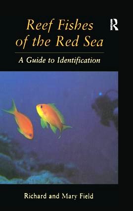 Reef fish of the Red Sea