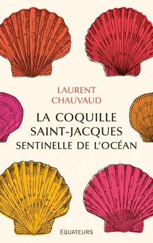 Coquille Saint-Jacques, sentinelle de l'océan
