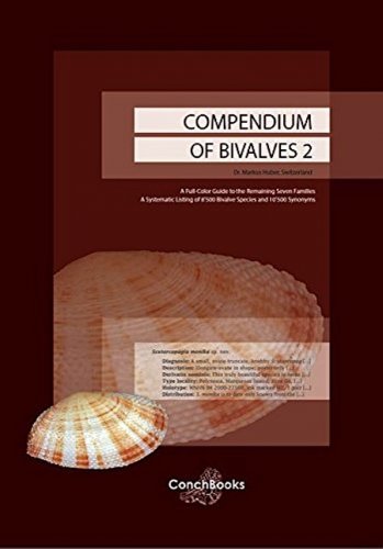 Compendium of bivalves 2