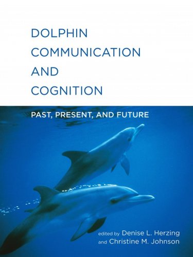 Dolphin communication and cognition