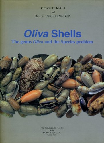 Oliva shells