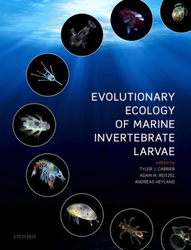 Evolutionary ecology of marine invertebrate larvae