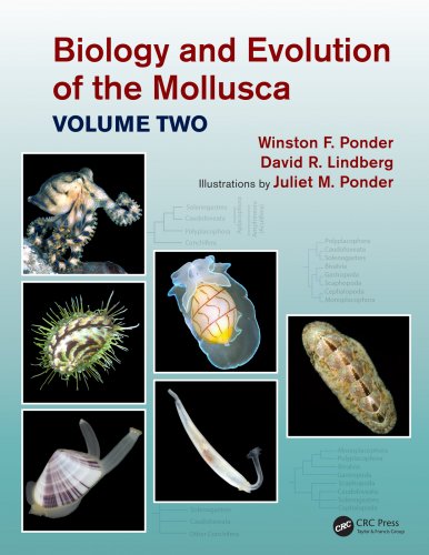 Biology and evolution of the mollusca vol.2