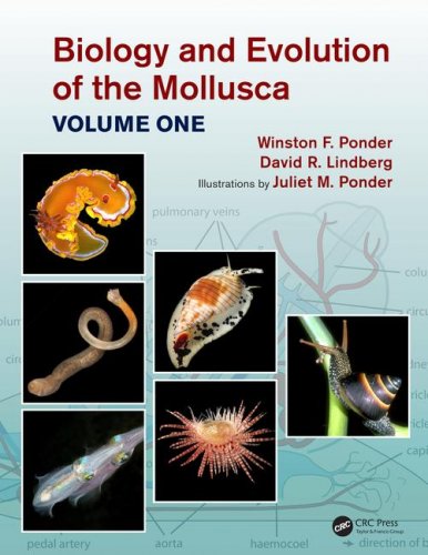 Biology and evolution of the mollusca vol.1