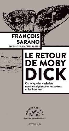 Retour de Moby Dick