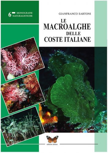 Macroalghe delle coste italiane