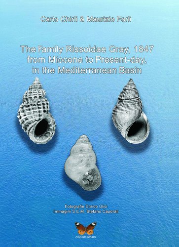 Family Rissoidae Gray in the Mediterranean basin