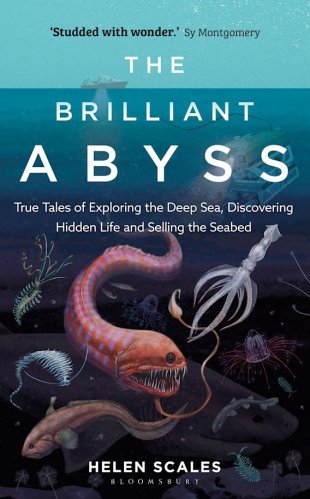 Brilliant abyss