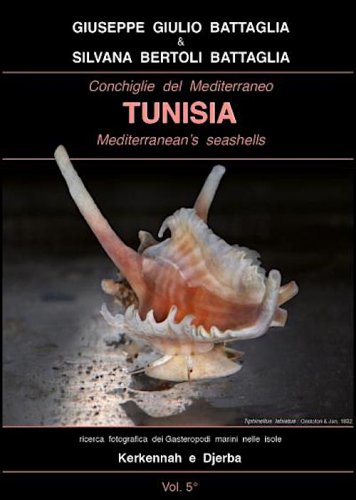 Conchiglie del Mediterraneo Tunisia