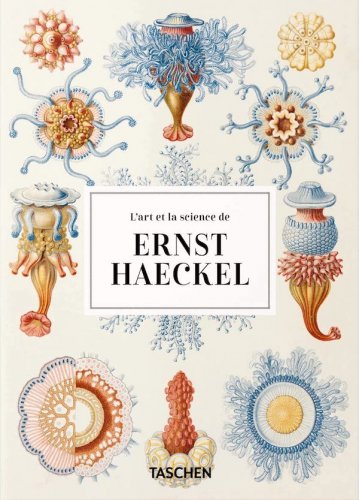 Art et la science de Ernst Haeckel