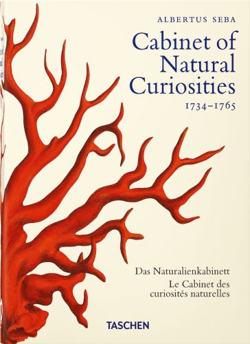 Cabinet of natural curiosities 1734-1765