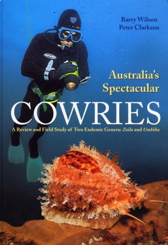 Australia's spectacular cowries