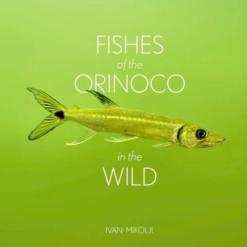 Fishes of the Orinoco in the wild
