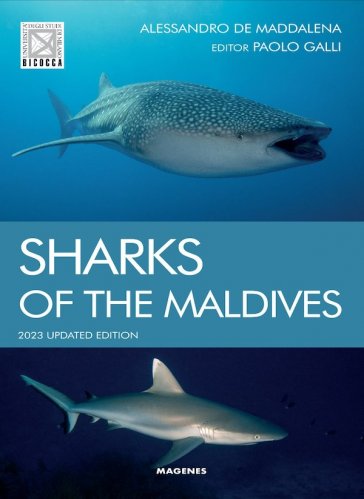 Sharks of the Maldives