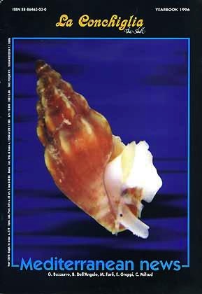 Conchiglia Annuario 1996 - Mediterranean news